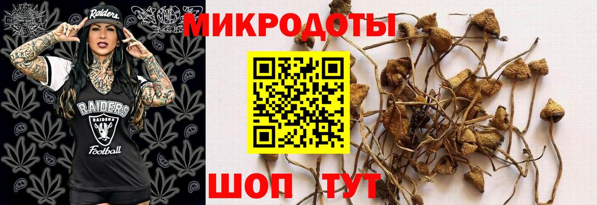 Галлюциногенные грибы Cubensis  Галлюциногенные грибы ЛСД  Киреевск  Вход с VPN 